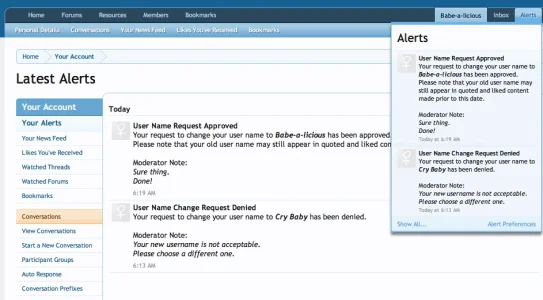 11_Alerts.webp