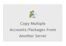 Transfer2.webp
