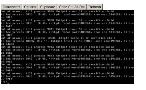 VNC.webp