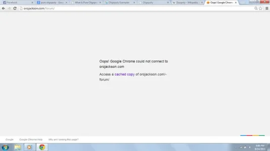 ProblemScreenshot2.webp