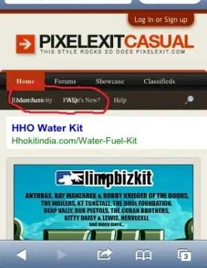 casual bugs.webp