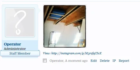 fghddshggdf.webp