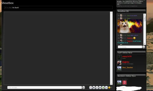 shout.webp