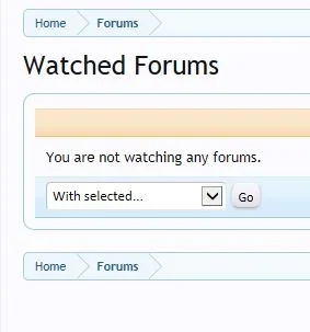 watch2.webp