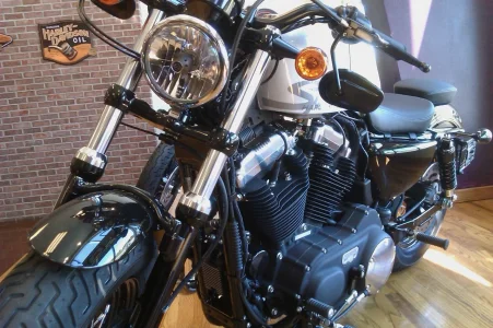 Nice Harley.webp