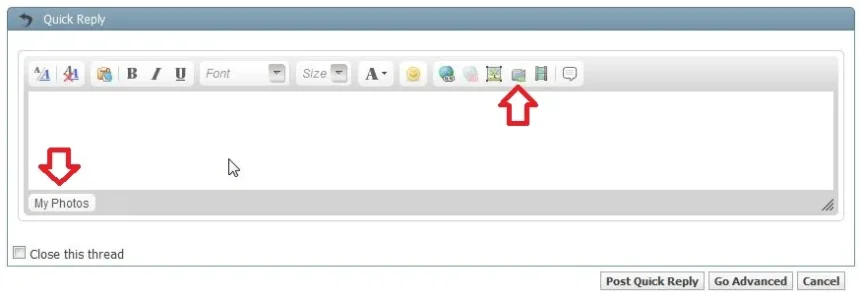 vb3.webp