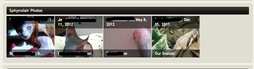 Screen Shot 2013-09-14 at 11.20.54 AM.webp