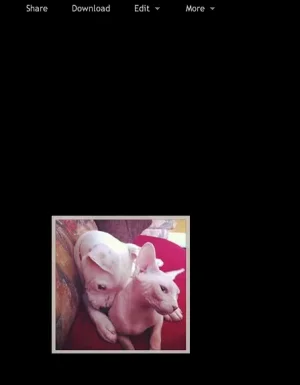 Screen Shot 2013-09-18 at 5.29.08 AM.webp