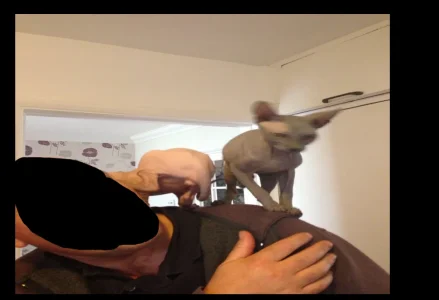 Screen Shot 2013-09-22 at 6.27.57 AM.webp