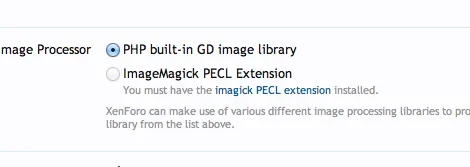 Screen Shot 2013-09-24 at 4.39.07 AM.webp