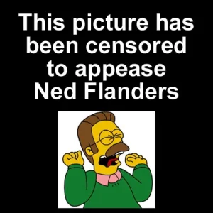 CensoredByNedFlanders.webp