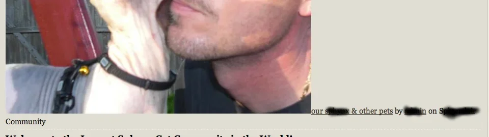 Screen Shot 2013-10-01 at 8.44.44 PM.webp