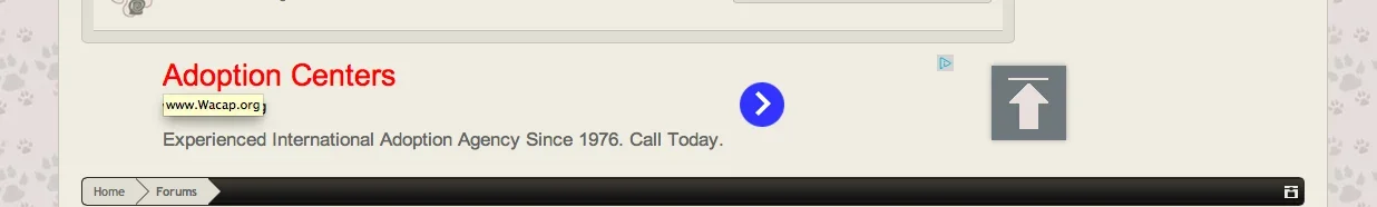 Screen Shot 2013-10-03 at 9.54.55 PM.webp