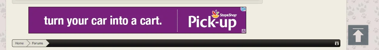 Screen Shot 2013-10-04 at 4.58.17 AM.webp