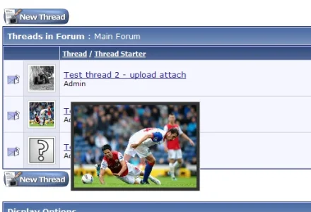 1.webp