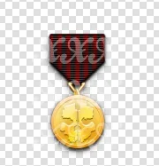 medalpreview.webp