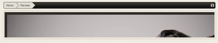 Screen Shot 2013-10-19 at 8.36.23 AM.webp