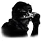 Ghosts.webp