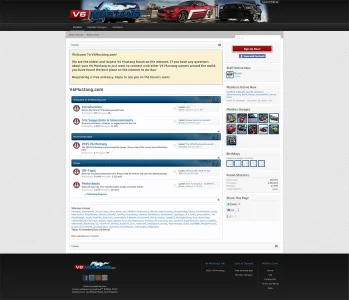 portfolio3.webp