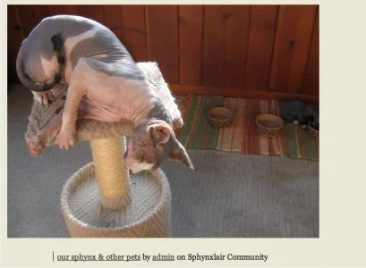 Screen Shot 2013-10-26 at 7.44.42 AM.webp