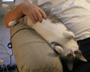 IMGP1400 (2).webp