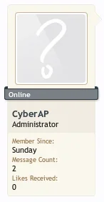 example4.webp
