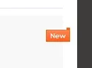 new.webp