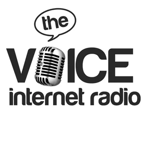 voiceir.webp