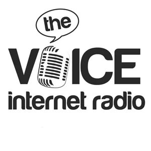 voiceir2.webp