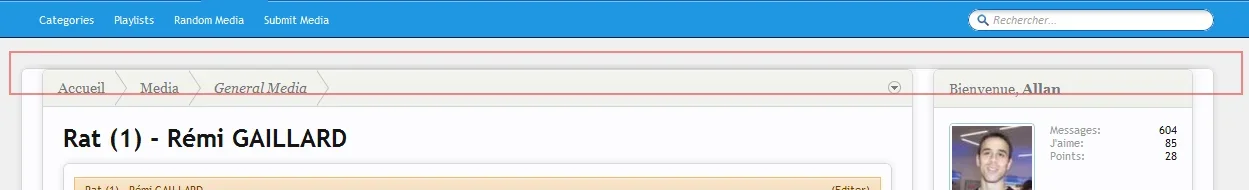 media.webp