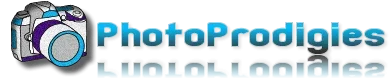 photo2.webp
