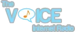 Voice Logo 9.webp