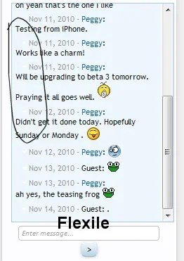 flexile style.webp