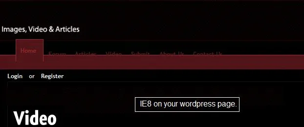 ie8.go.wordpress.not.lining.up.webp