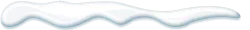 shelley_snow.webp