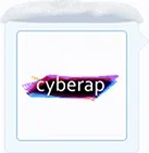 snowy.webp