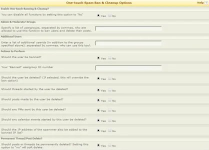 cleanupscreen1.webp