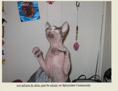 Screen Shot 2013-10-27 at 5.50.20 AM.webp