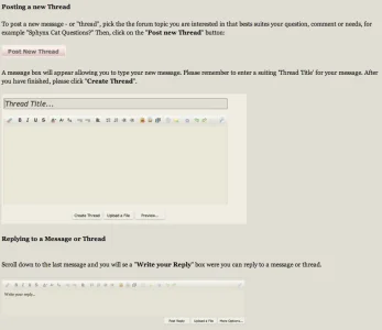 Screen Shot 2013-10-28 at 5.11.43 AM.webp