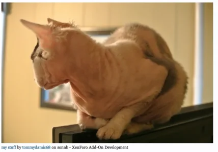Screen Shot 2013-10-29 at 5.11.20 AM.webp