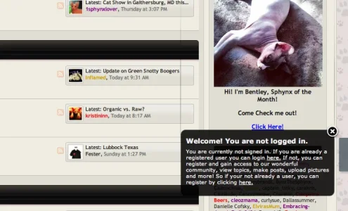 Screen Shot 2013-11-09 at 2.20.57 PM.webp