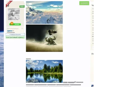 8888.webp