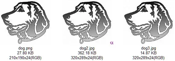dog.webp