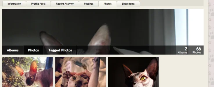 Screen Shot 2013-11-12 at 8.43.37 PM.webp