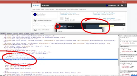 ad_styler_issue.webp