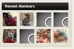 Screen Shot 2013-11-23 at 9.41.53 AM.webp