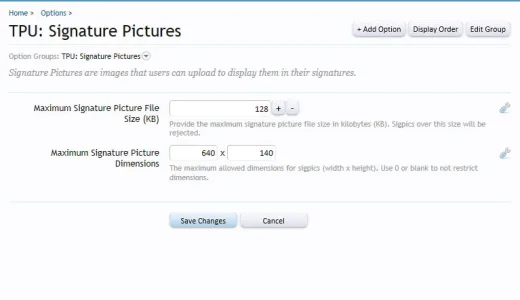 5.webp