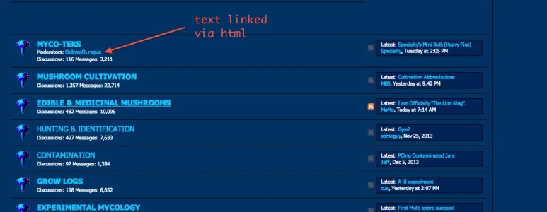 forum view.webp