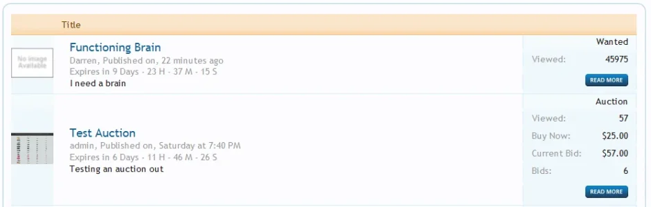 auctionlist.webp