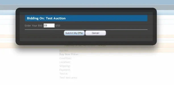bidauction.webp